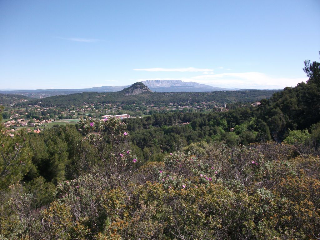 Provence-Landschaft, im Hintergrund Montagne St. Victoire