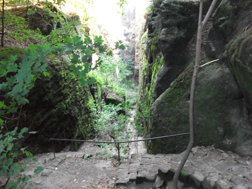 Kuhstall