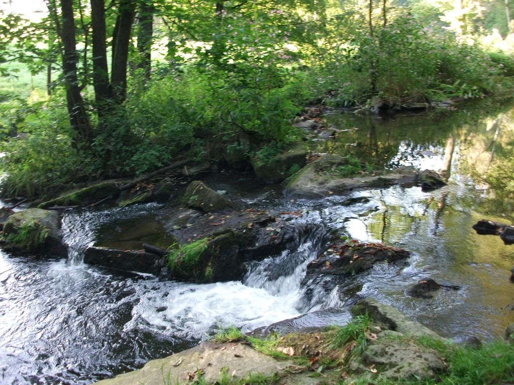 Spree bei Neusalza-Spremberg